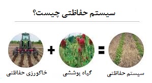 سیستم کشاورزی حفاظتی حاصل استفاده از روش های خاکورزی حفاظتی و گیاهان پوششی