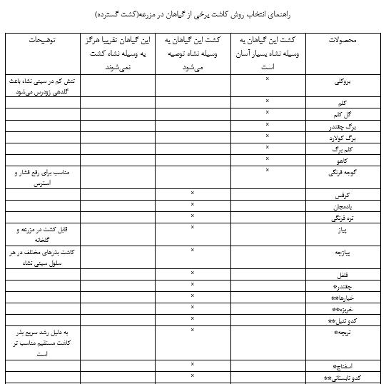 کشت نشا در زمین